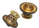 Thermostat Kit