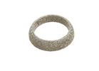 Catalytic Converter Gasket