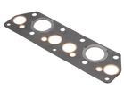 Manifold Gasket