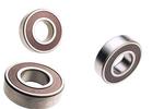 Pilot Bearing