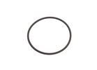 Rel. Brg. Guide O-Ring