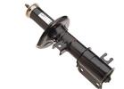 Strut Assembly