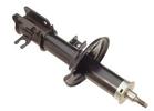 Strut Assembly