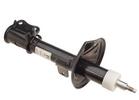 Strut Assembly