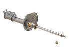 Strut Assembly