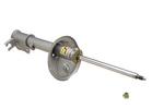 Strut Assembly