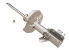 Strut Assembly