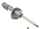 Strut Assembly