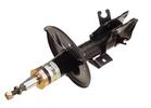 Strut Assembly