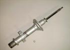 Strut Assembly