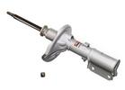 Strut Assembly