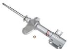 Strut Assembly