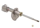 Strut Assembly