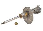 Strut Assembly