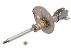 Strut Assembly