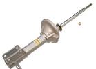 Strut Assembly