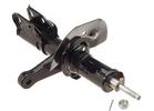 Strut Assembly