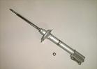 Strut Assembly