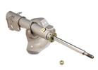 Strut Assembly