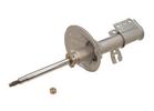 Strut Assembly