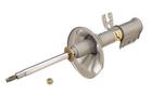 Strut Assembly