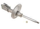 Strut Assembly