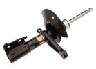 Strut Assembly