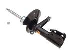 Strut Assembly
