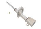 Strut Assembly