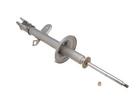 Strut Assembly