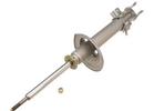 Strut Assembly