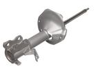 Strut Assembly