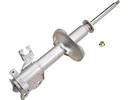 Strut Assembly