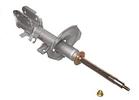 Strut Assembly