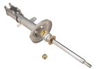 Strut Assembly