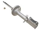 Strut Assembly
