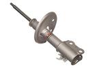 Strut Assembly