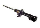 Strut Assembly