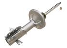 Strut Assembly