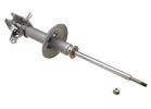 Strut Assembly