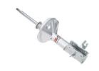 Strut Assembly