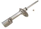 Strut Assembly