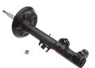 Strut Assembly