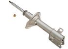 Strut Assembly