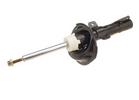 Strut Assembly