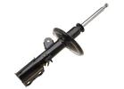 Strut Assembly