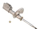 Strut Assembly