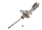 Strut Assembly