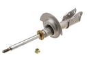 Strut Assembly