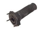 Strut Mount